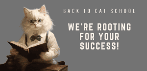 cat breeds that can be trained