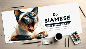 Do Siamese cats meow a lot