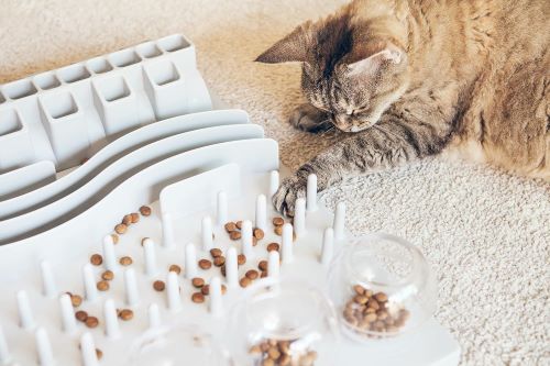 cat puzzle feeder