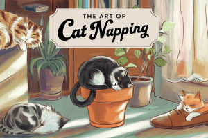 a-whimsical-illustration-of-a-cozy-indoor-setting–ae_xGMBcQI6saPKpii4oDQ-a2vAJ66LQ8-UkipbBDjZsA cats sleeping in weird places