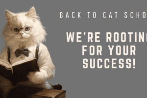 back to cat school (1) cat breeds that can be trained