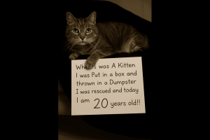 murphy 20 yrs old Murphy story